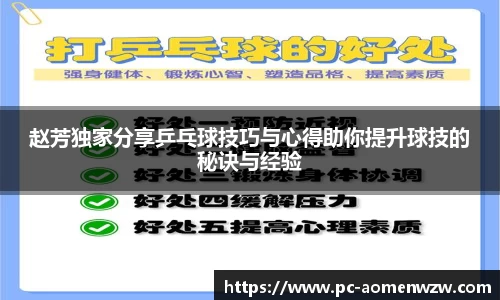 赵芳独家分享乒乓球技巧与心得助你提升球技的秘诀与经验